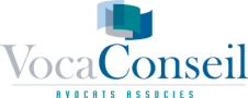 Logo de voca conseil