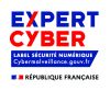 Logo N-CyP Jaune&Noir
